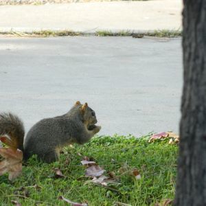 Meet your Posher, Bonnye